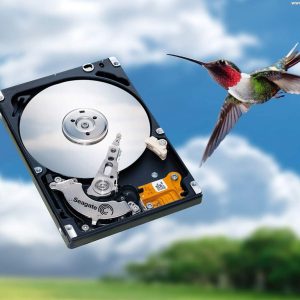 hard disk and bird436